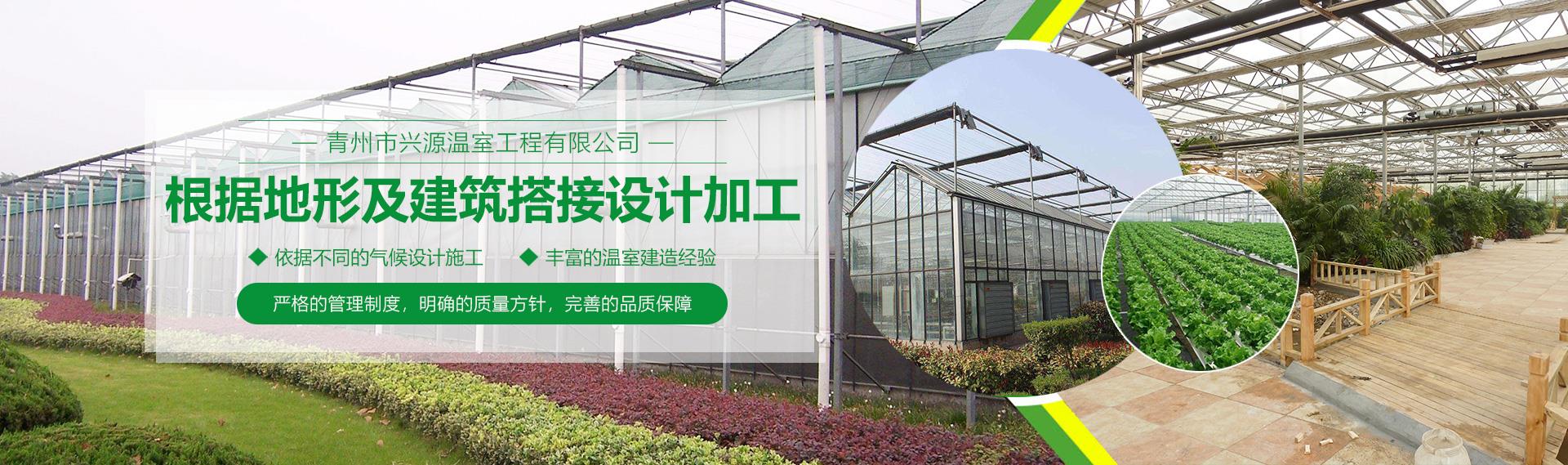 公司91视频免费成人