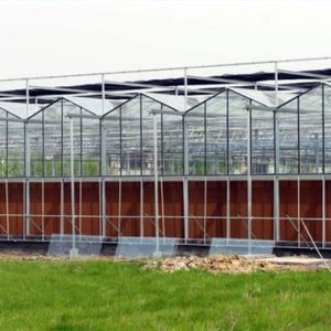 玻璃连栋温室.jpg