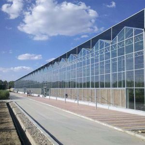 温室91视频导航福利 温室91视频导航福利